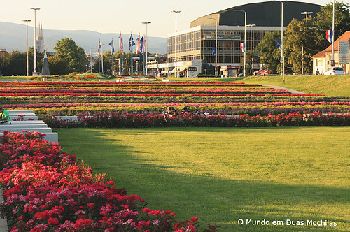 9117b3_5247910c541c404e92d03e52ba5f13bf~mv2